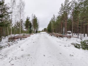 Puuston poisto teiden varsilta