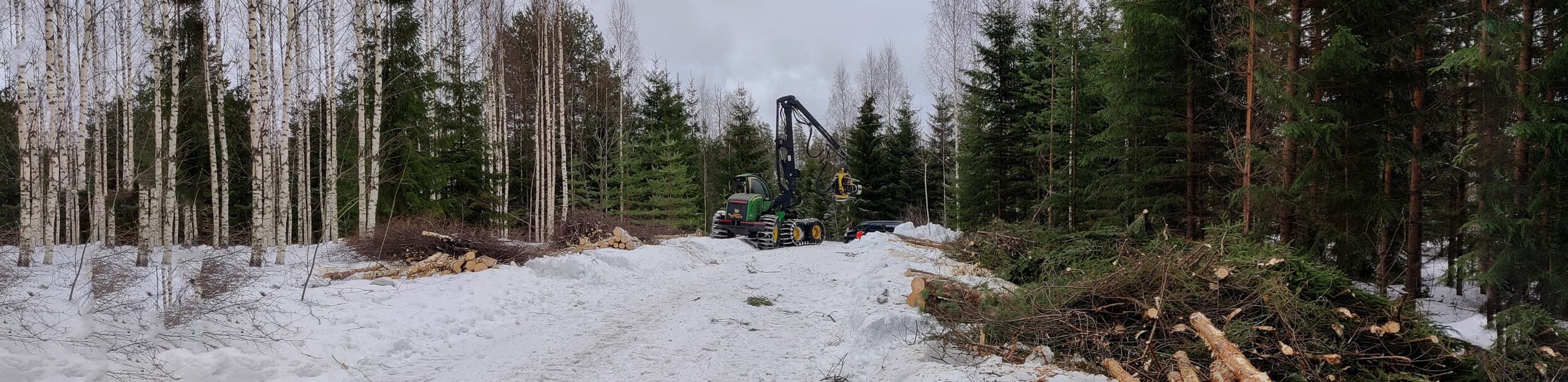 Puuston poisto teiden varsilta